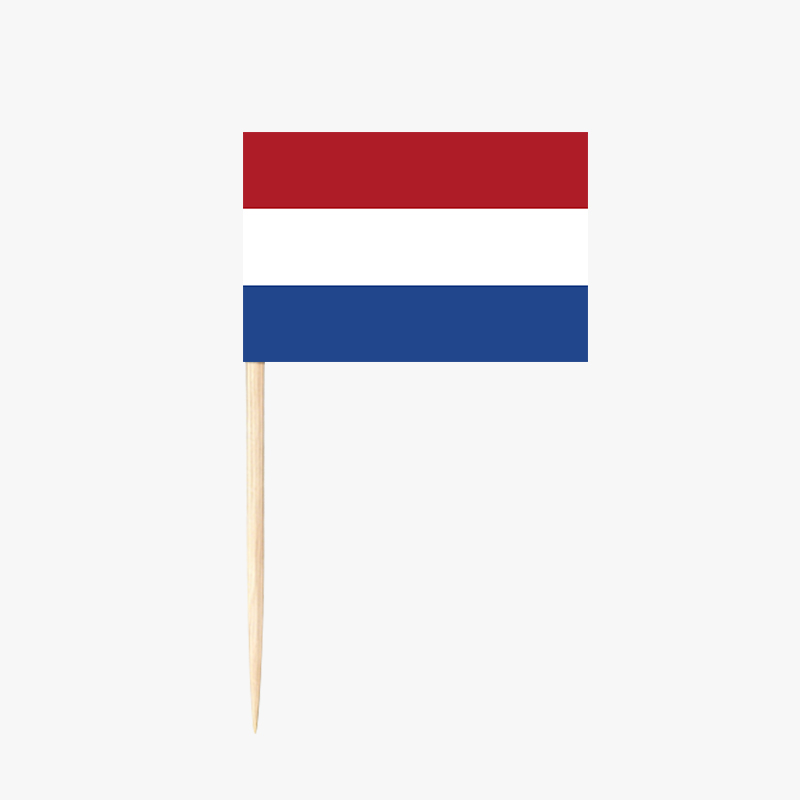 Dutch Flag Decorative Picks | Cheerful Party & Food Sticks