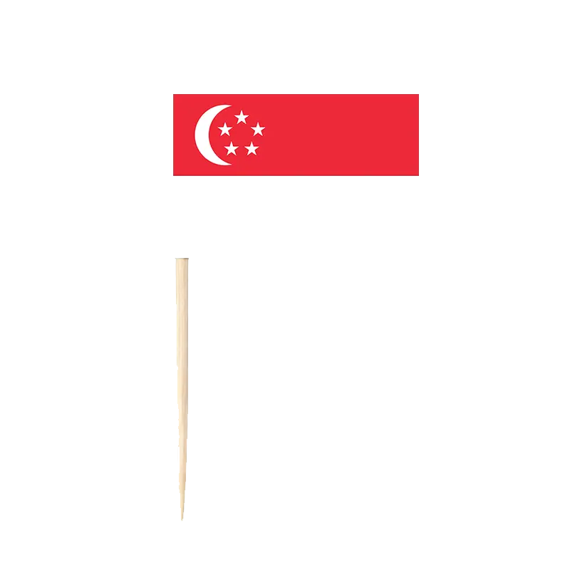 Singapore Flag Decorative Picks | Modern & Multicultural Party Sticks