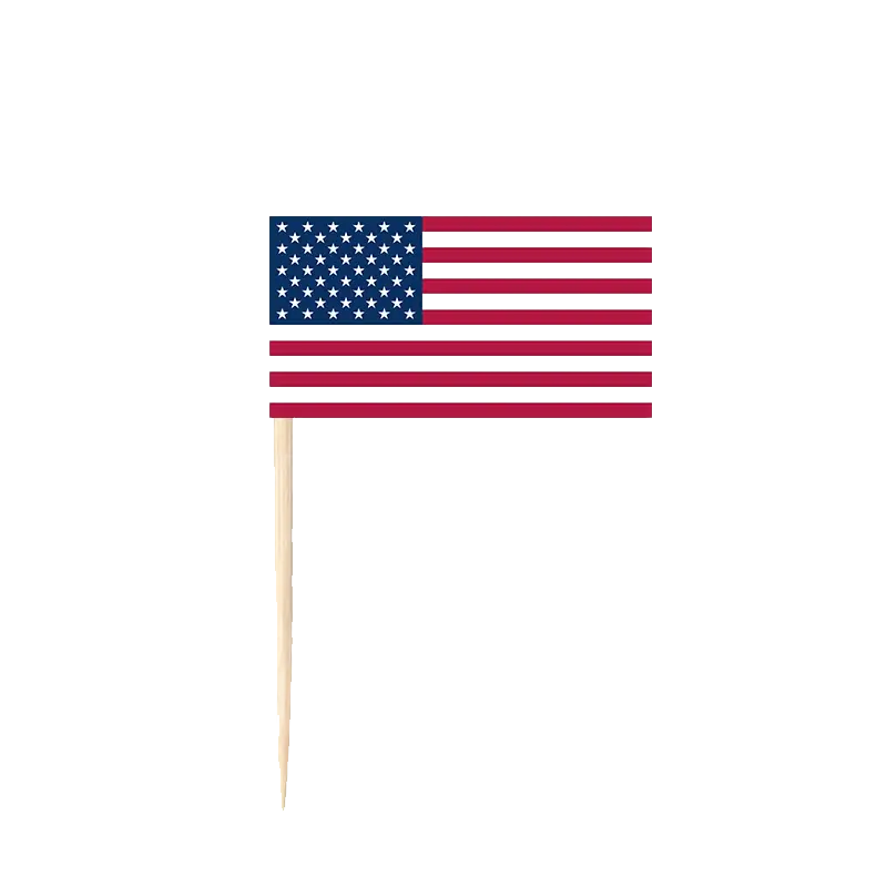 American Flag Decorative Picks | Classic Party & Food Sticks