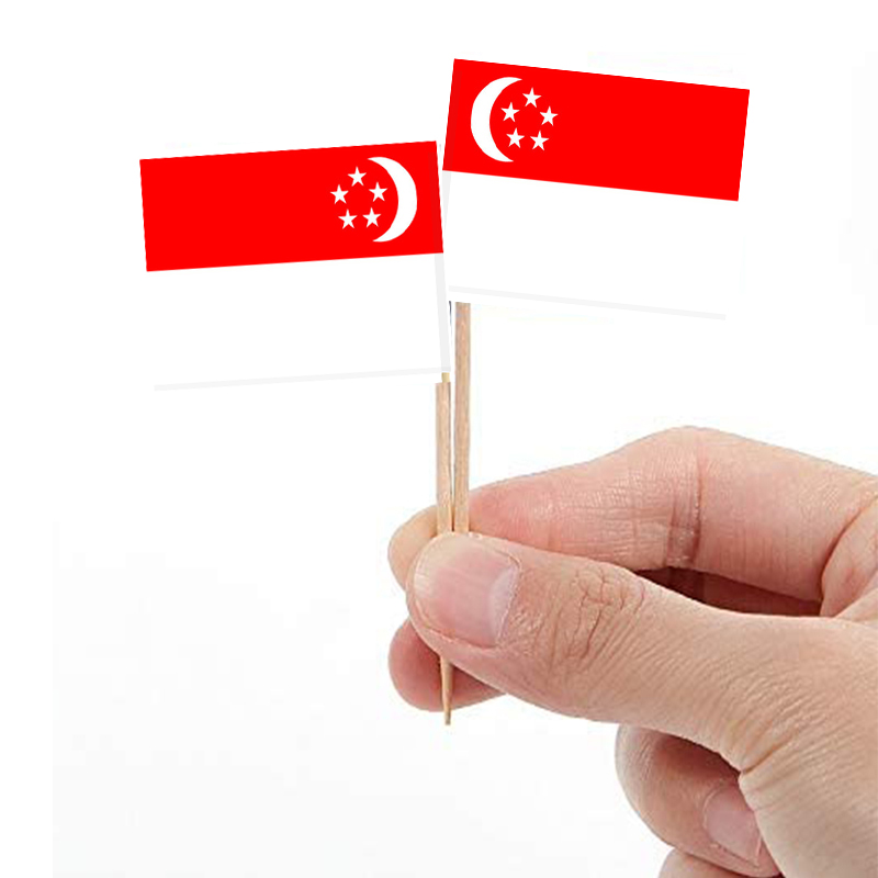 Singapore Flag Decorative Picks | Modern & Multicultural Party Sticks
