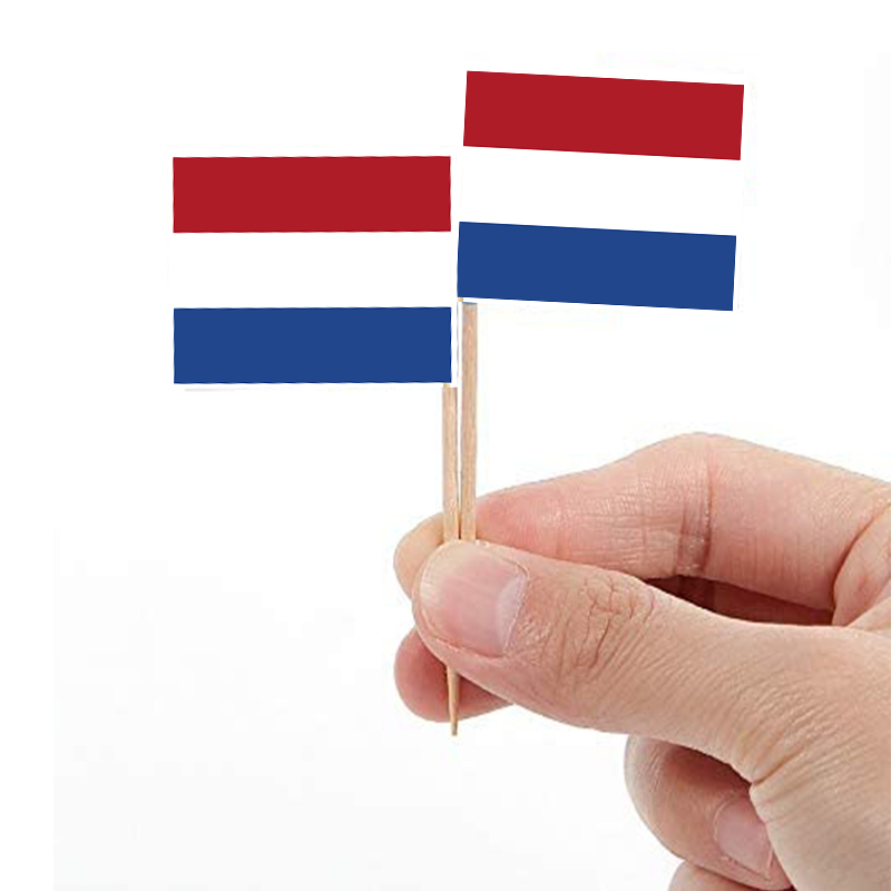 Dutch Flag Decorative Picks | Cheerful Party & Food Sticks