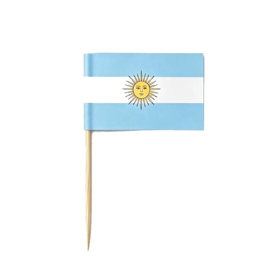 Argentine Flag Decoratiive Picks| Modern & Multicultural Party Sticks