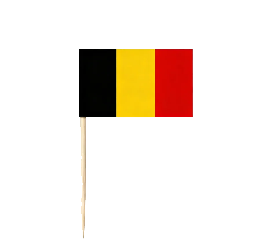 Belgian Flag Decorative Picks | Cheerful Party Food Sticks